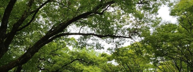 はな@引退さんの壁紙画像