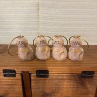 はるさんのアイコン画像