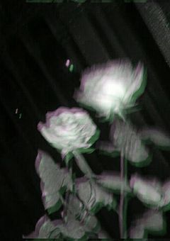 雪男たちの BL集