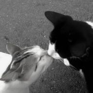 まめ🌱🐤さんのアイコン画像