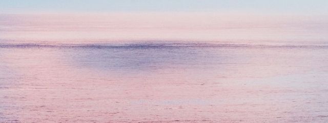 るーしゃ  🎲🤍🖤さんの壁紙画像