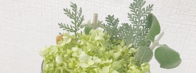 もんもんさんの壁紙画像