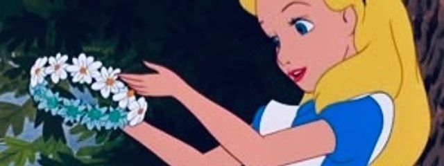 🍥ゆきてぃん🍥さんの壁紙画像