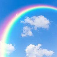 しらこめさんのアイコン画像