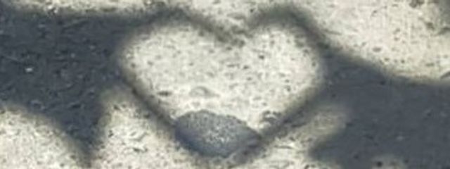 おとぎ。さんの壁紙画像