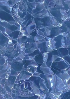 ↝  設定 ⚙️   .