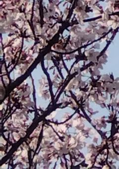 𝟏𝐭𝐡 𝐀𝐧𝐧𝐢𝐯𝐞𝐫𝐬𝐚𝐫𝐲