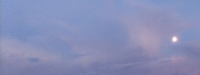 桜羽雨音 . # ペア画中 # 活休さんの壁紙画像