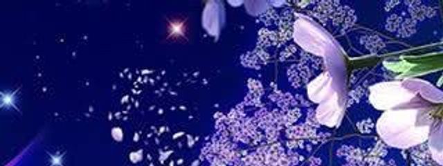 †ネロ†さんの壁紙画像