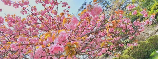 あいさんの壁紙画像