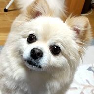 くるみさんのアイコン画像