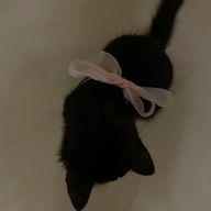 らいあさんのアイコン画像