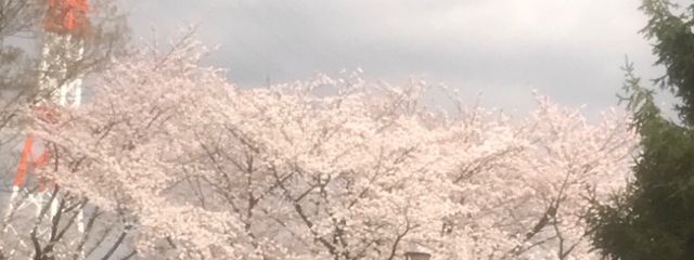 なんごさんの壁紙画像