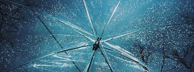 42｜フォロバ100さんの壁紙画像