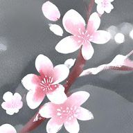 八重桜さんのアイコン画像