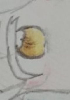 ボクが配信者⁉️