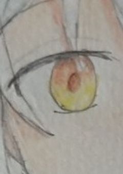 カラオケの報告