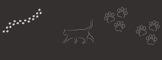 ☁︎さんの壁紙画像