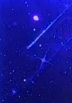 白受け 短編集 🐇