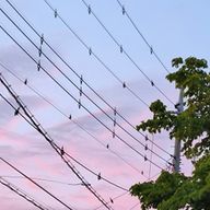 𝕊𝕒𝕜𝕚 さんのアイコン画像