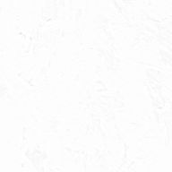 落川秋さんのアイコン画像