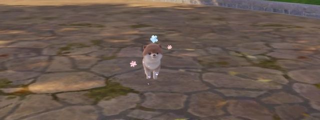 海來@今日から社会人！さんの壁紙画像