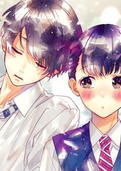少女漫画みたいな恋がしたい人に読んで欲しい小説((✧σ‪ωσ)