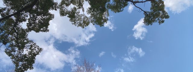 ナギサさんの壁紙画像