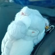 まつむらいあーの下っ端さんのアイコン画像