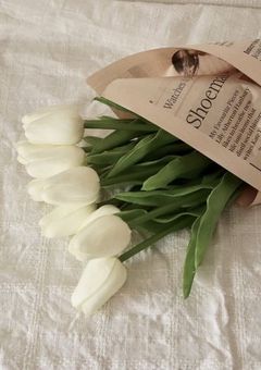 男性のフリをした新メンバー