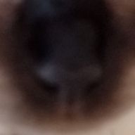 ぽんぱちさんのアイコン画像