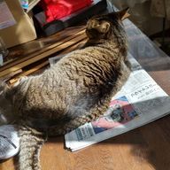 収穫の月さんのアイコン画像