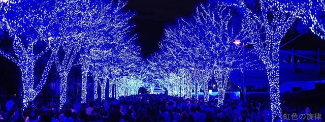 銀夜叉さんの壁紙画像