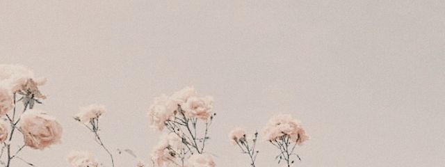 モンテ🎀✨️@フォロバ100%さんの壁紙画像