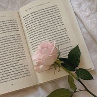 モンテ🎀✨️@フォロバ100%さんのアイコン画像