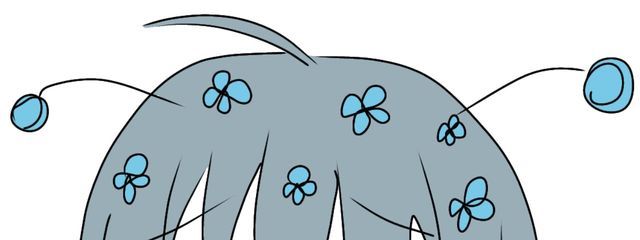 おひやさんの壁紙画像