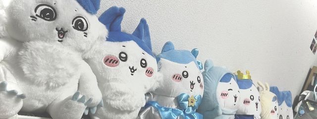 はくい。ばさんの壁紙画像