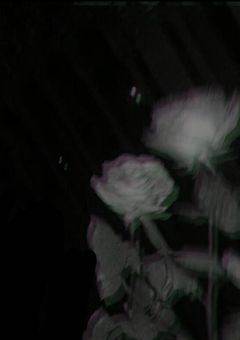 ジャニーズ学園での人気なカップルって_、?