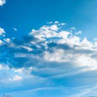 きなこもちさんのアイコン画像