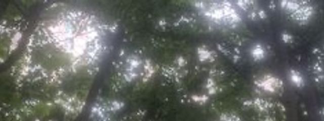 里雲☁️（フォロバ100）さんの壁紙画像