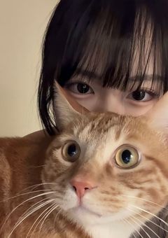 君以上君未満