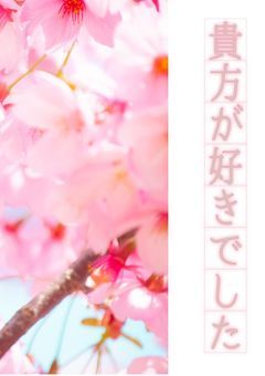 貴方が好きでした