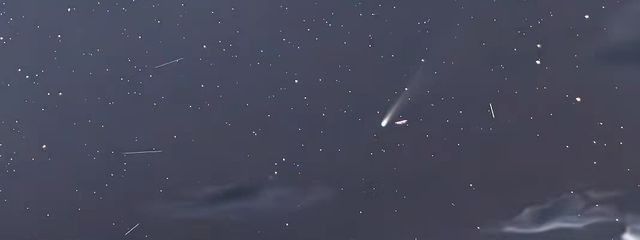 れあさんの壁紙画像