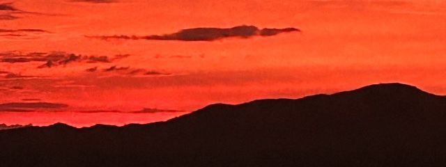 杏仁豆腐さんの壁紙画像