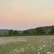 里さんのアイコン画像