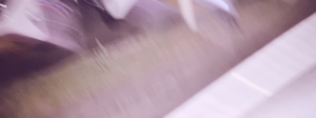 佐野.さの　ふぉろば　多忙さんの壁紙画像