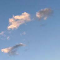 。さんのアイコン画像