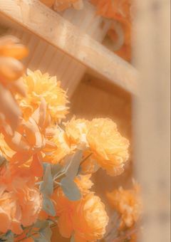 小さくなっても