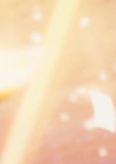 参雑〜わんだほいを添えて〜