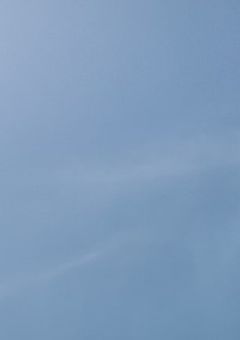 ♯今日は誰もが  クリスマス  ！